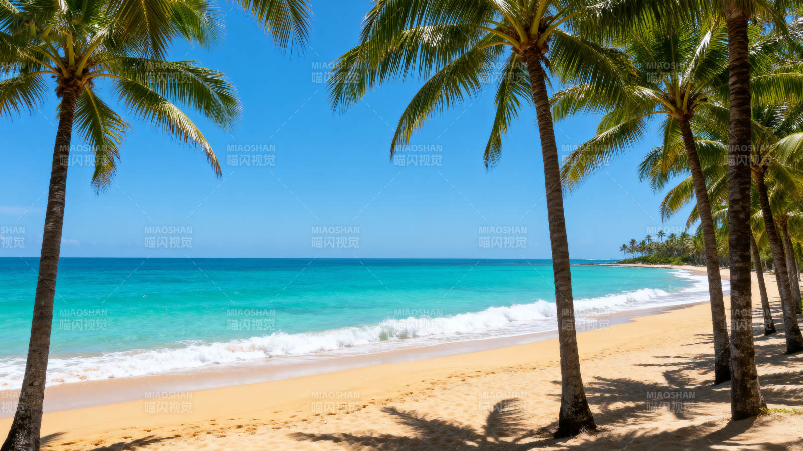 椰林碧海沙滩图片