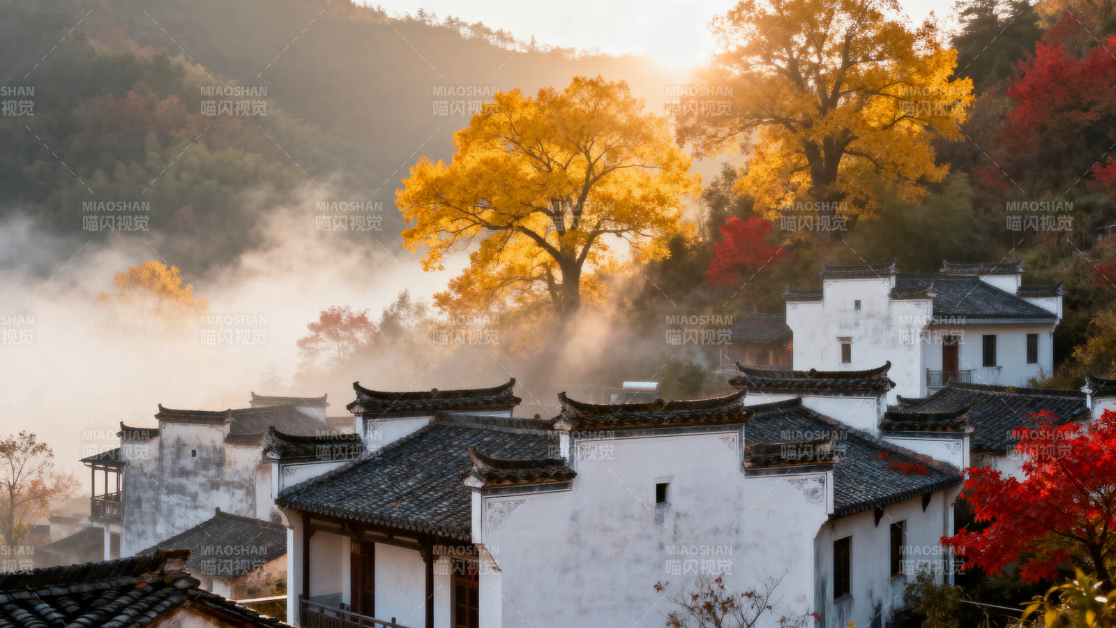 秋雾古村晨曦图片
