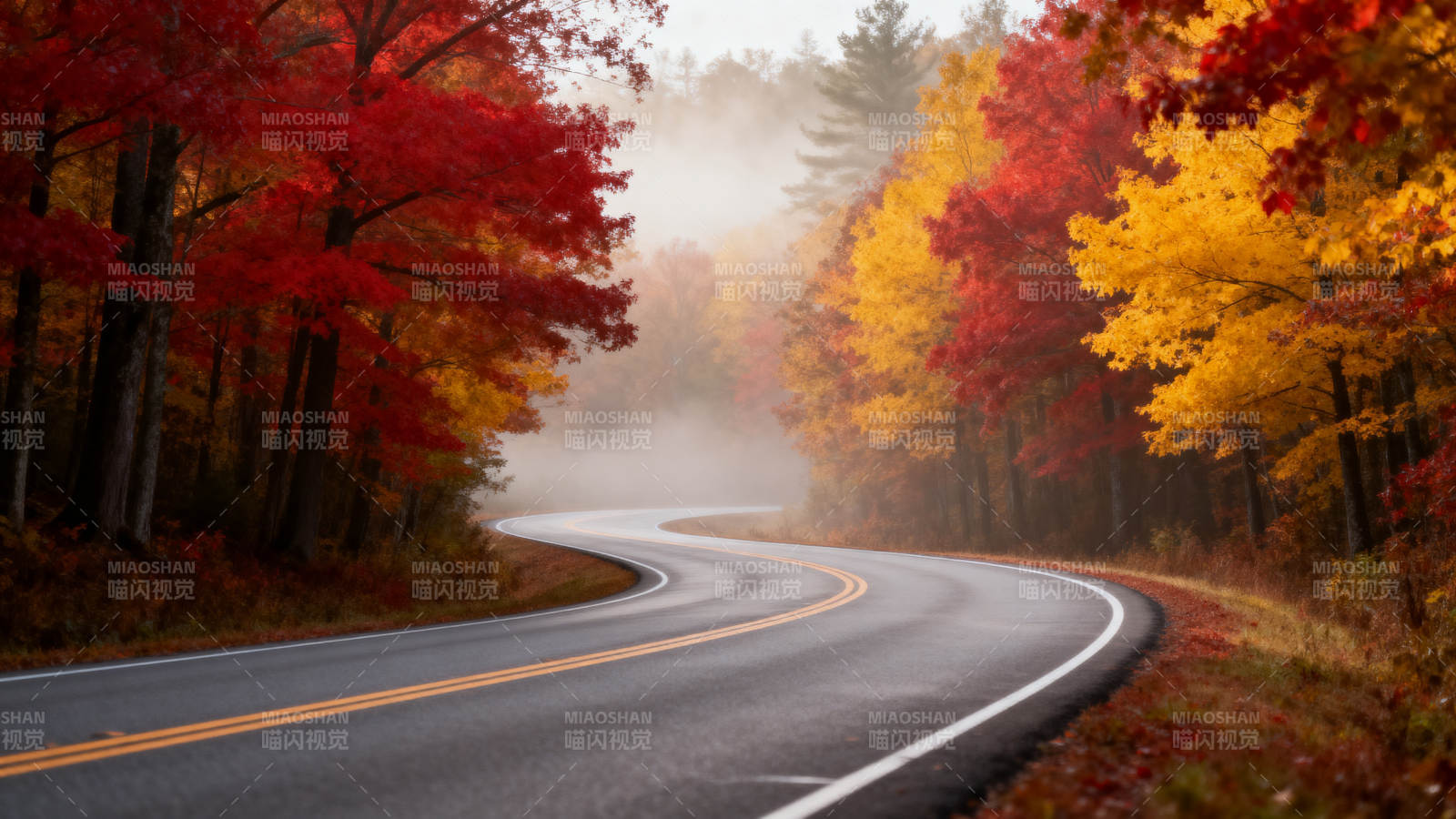秋雾公路图片