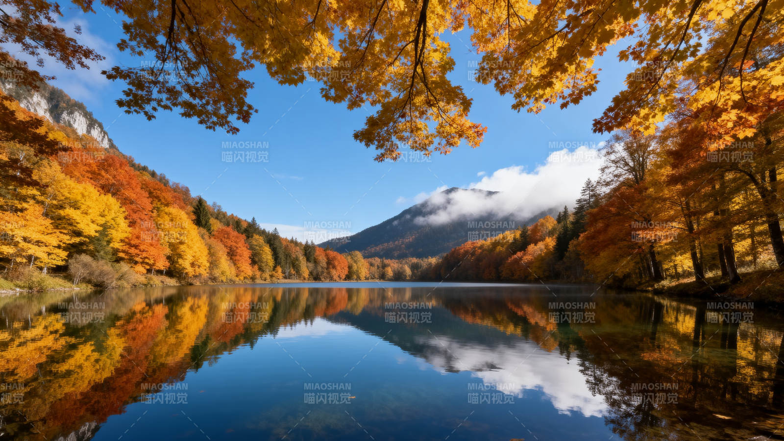 秋湖映彩林图片
