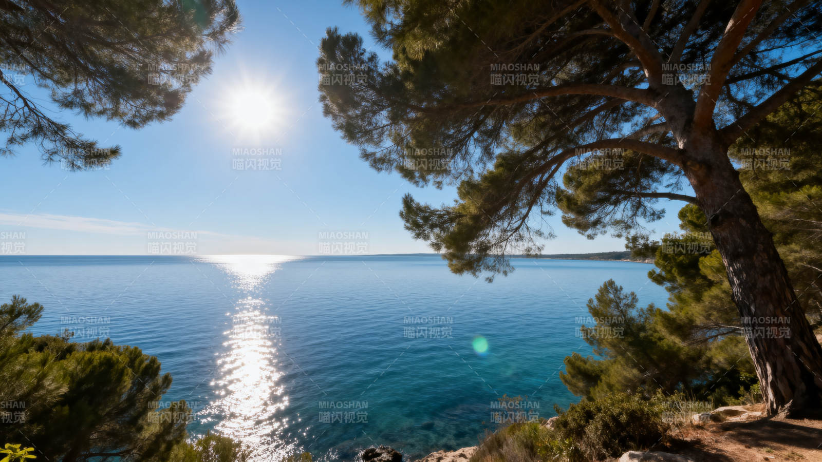 湖光树影映晴空图片