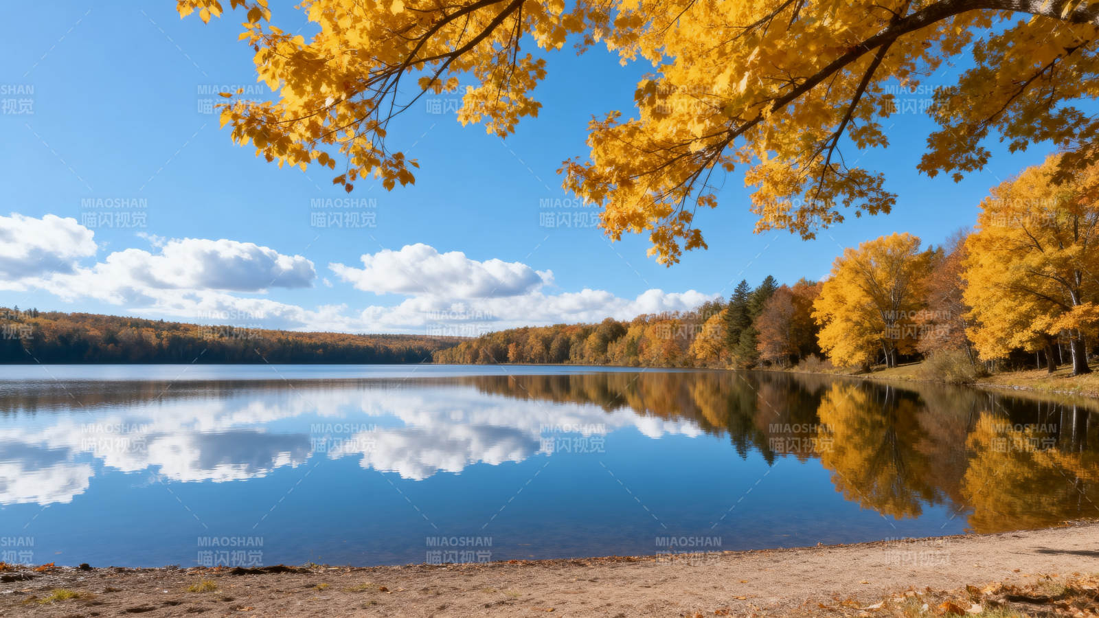 秋湖映彩林图片