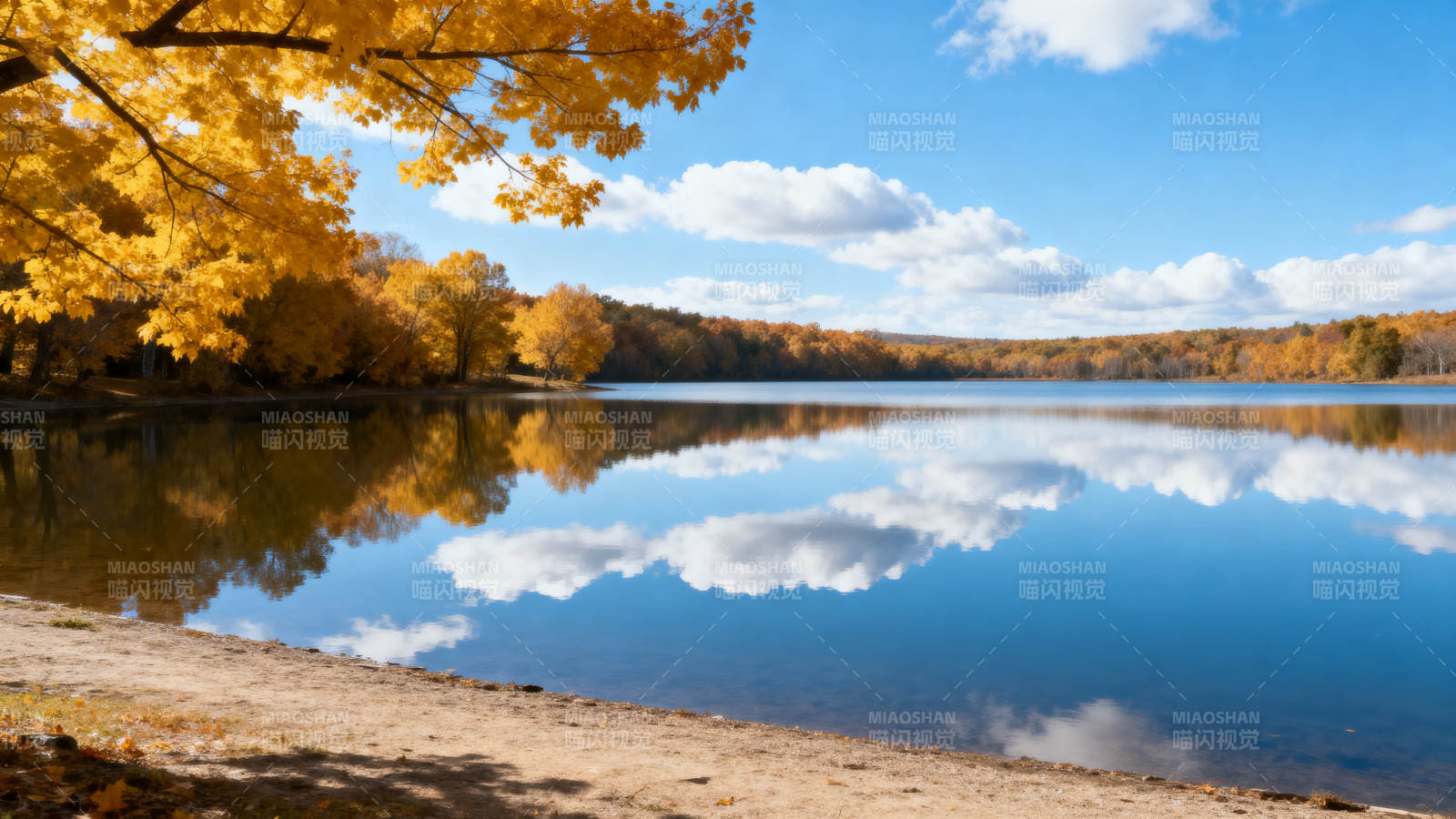 秋湖映彩林图片