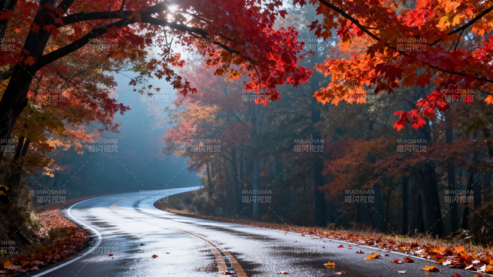 秋日林间小路图片