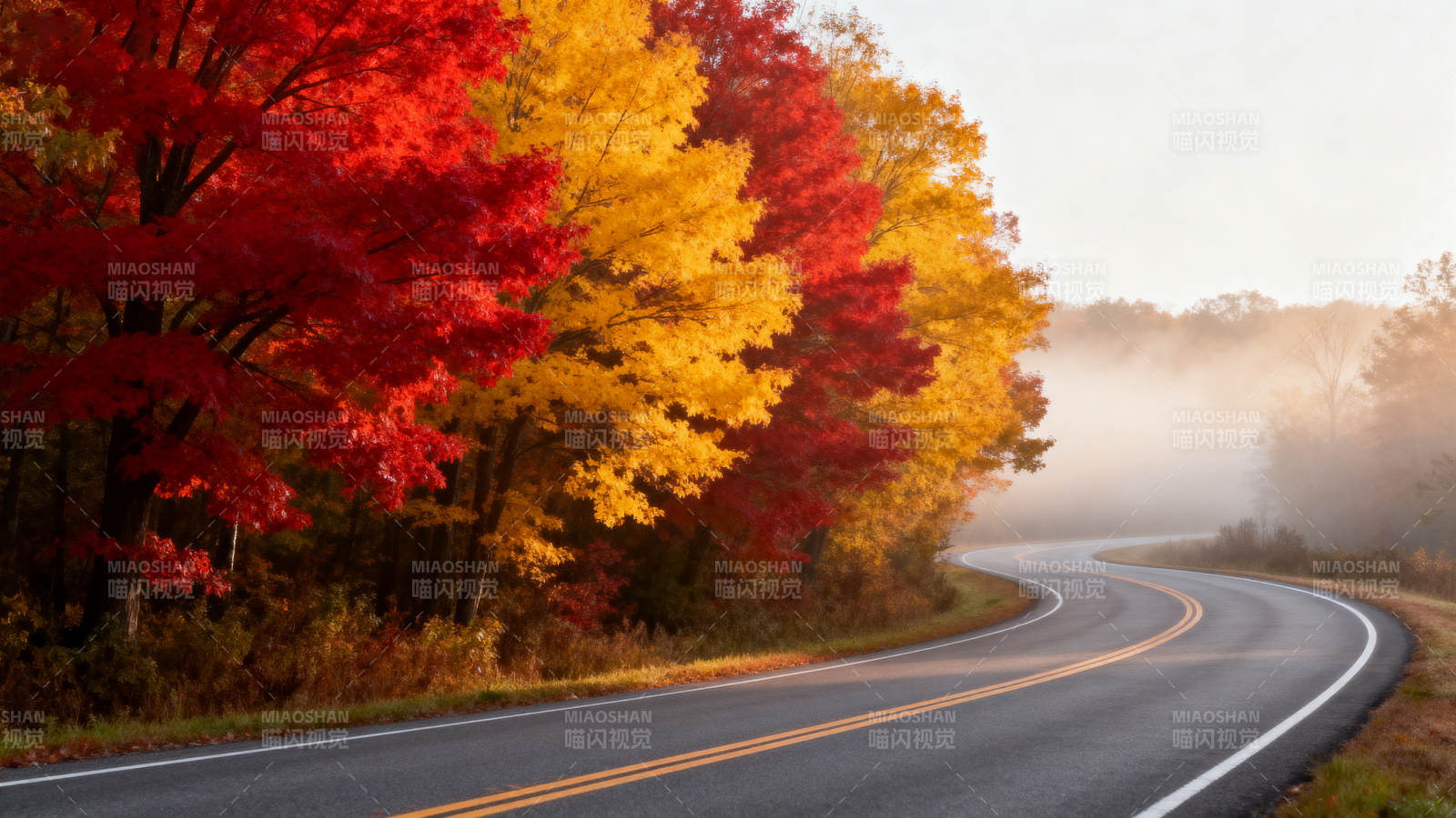秋色公路图片