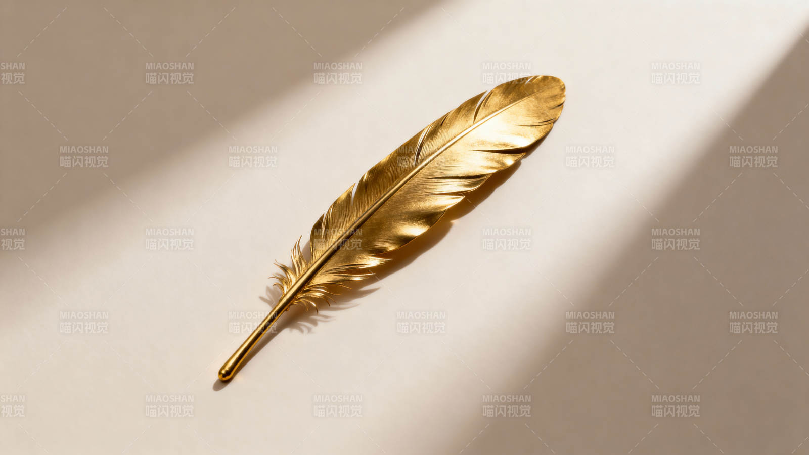 金色羽毛静谧光影图片