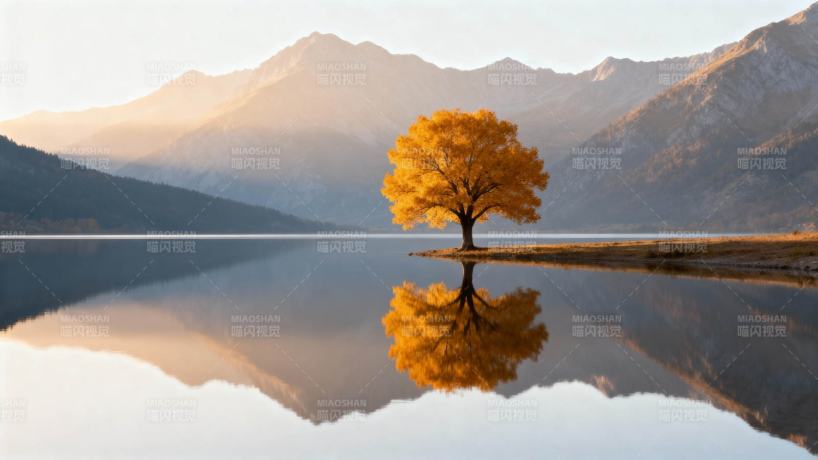 秋树映湖山图片