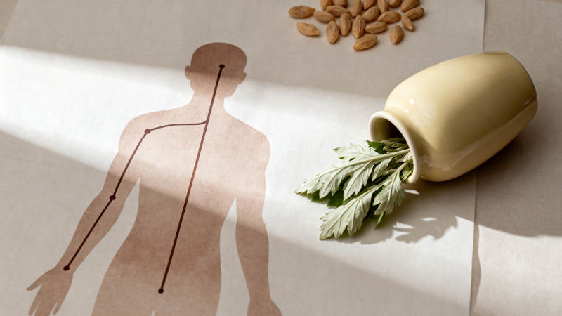 艾灸养生之道图片