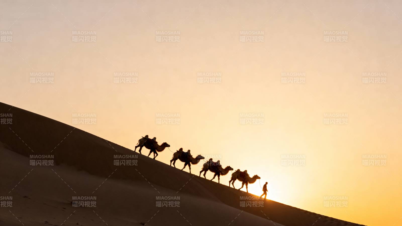 沙漠驼影夕阳图片