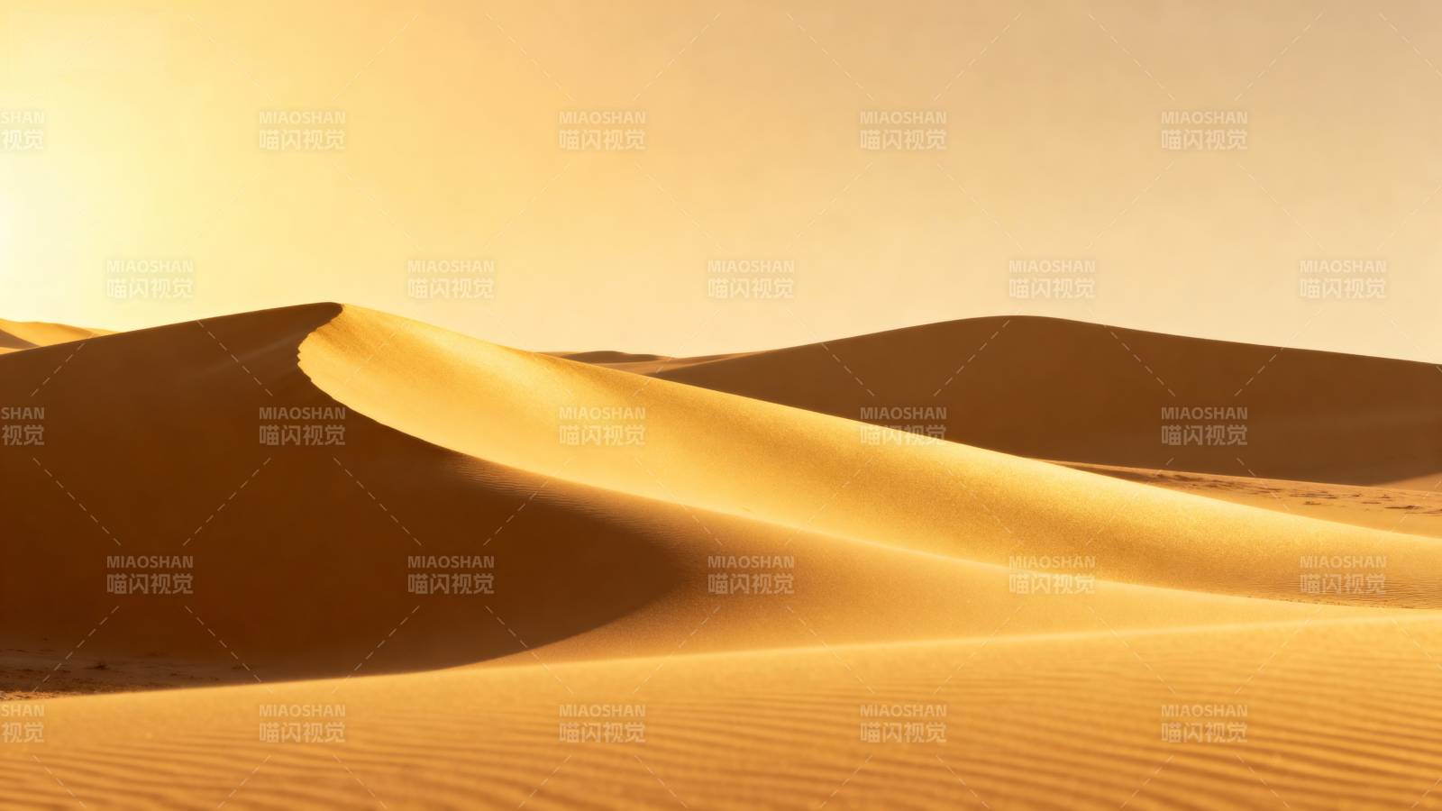 金色沙丘晨曦图片