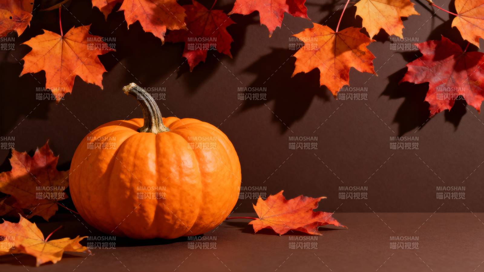 秋叶伴南瓜图片