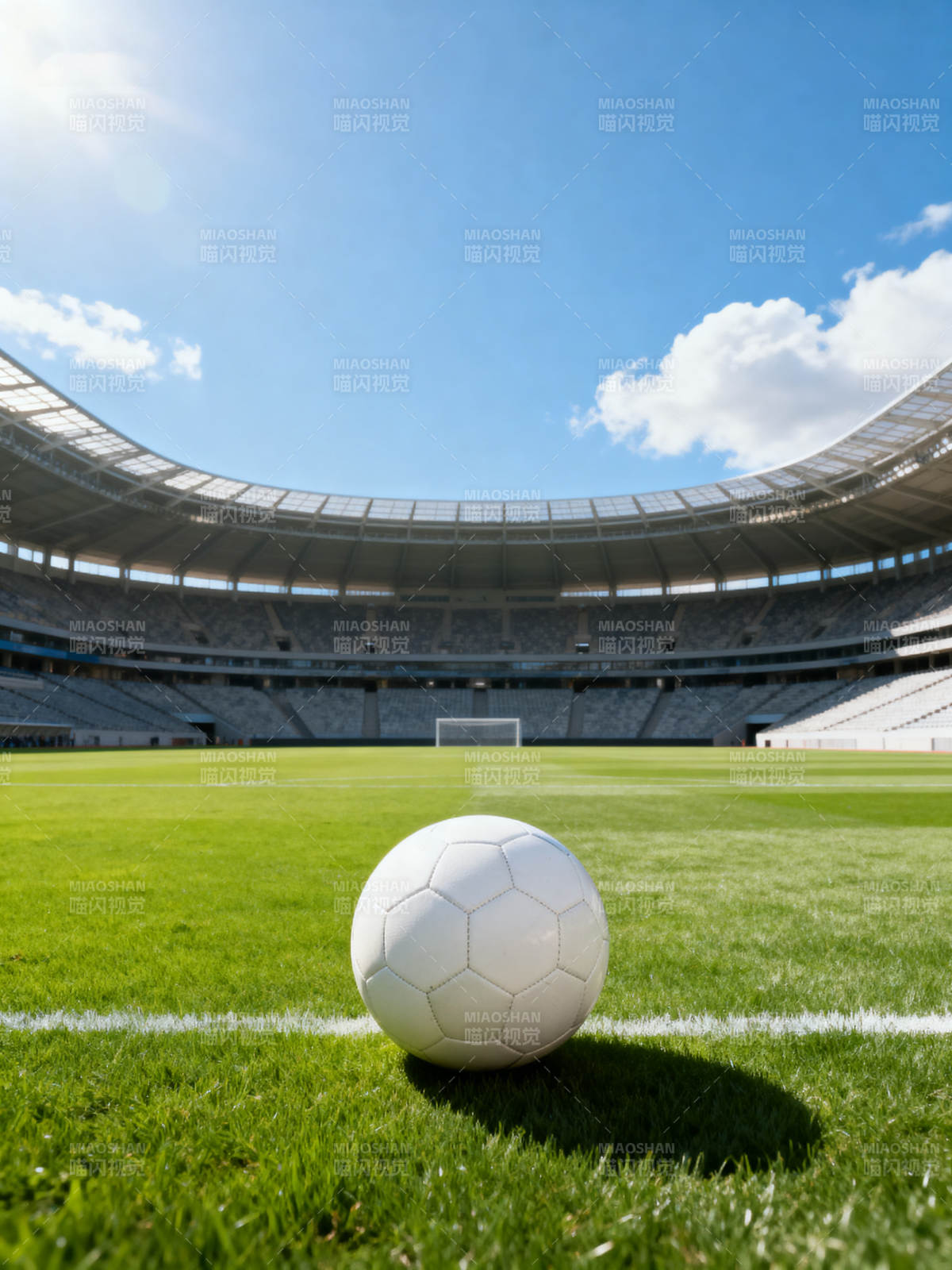 绿茵场上的足球图片