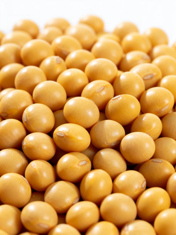 金黄大豆饱满堆叠图片