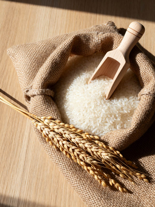稻米与麦穗静物图片