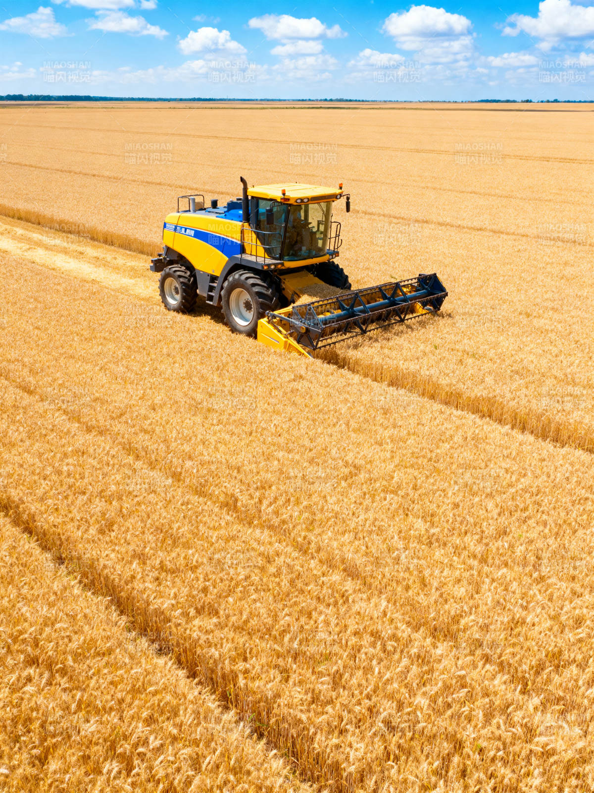 金秋麦田收割忙图片