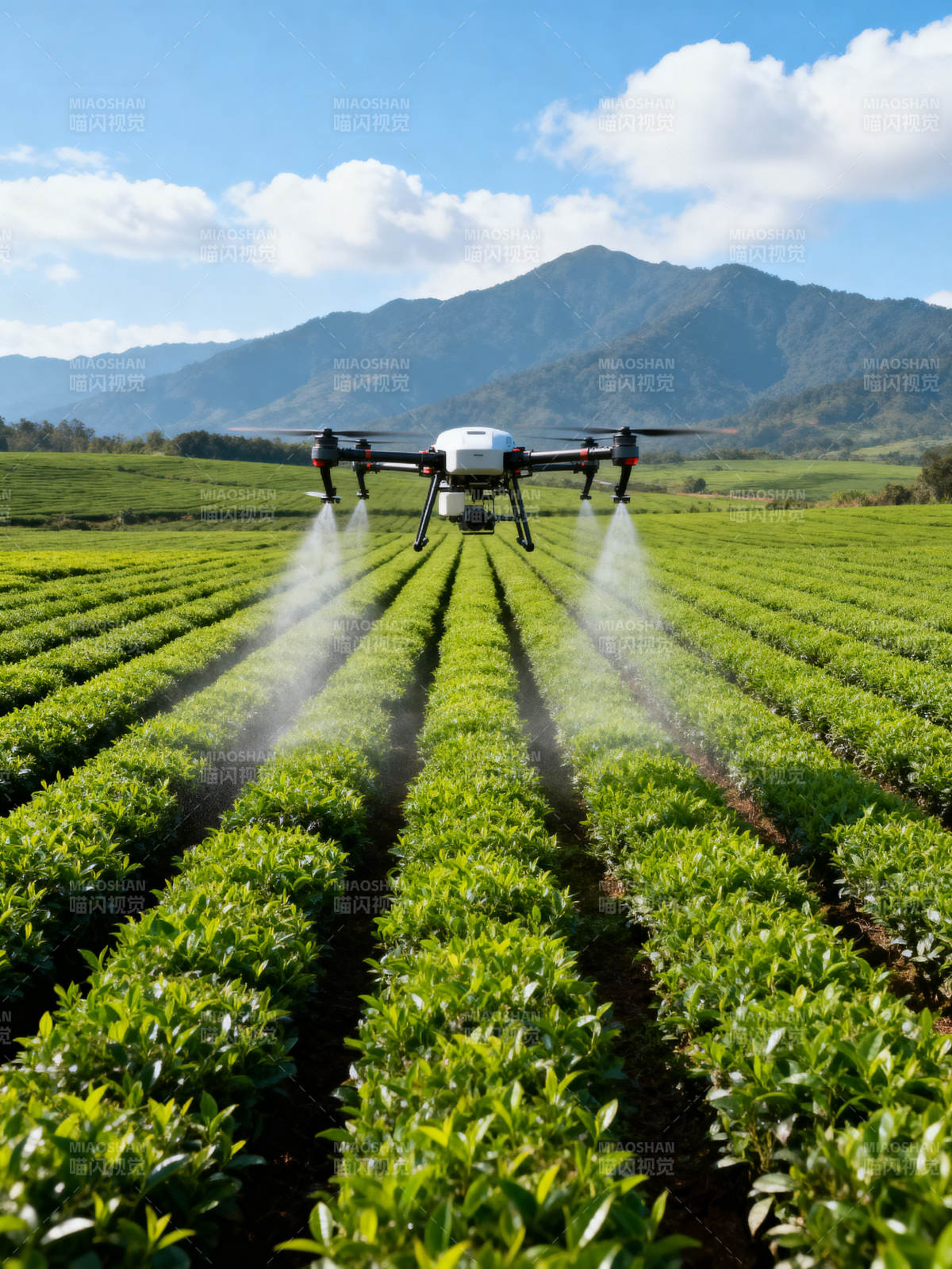 无人机喷洒茶园图片