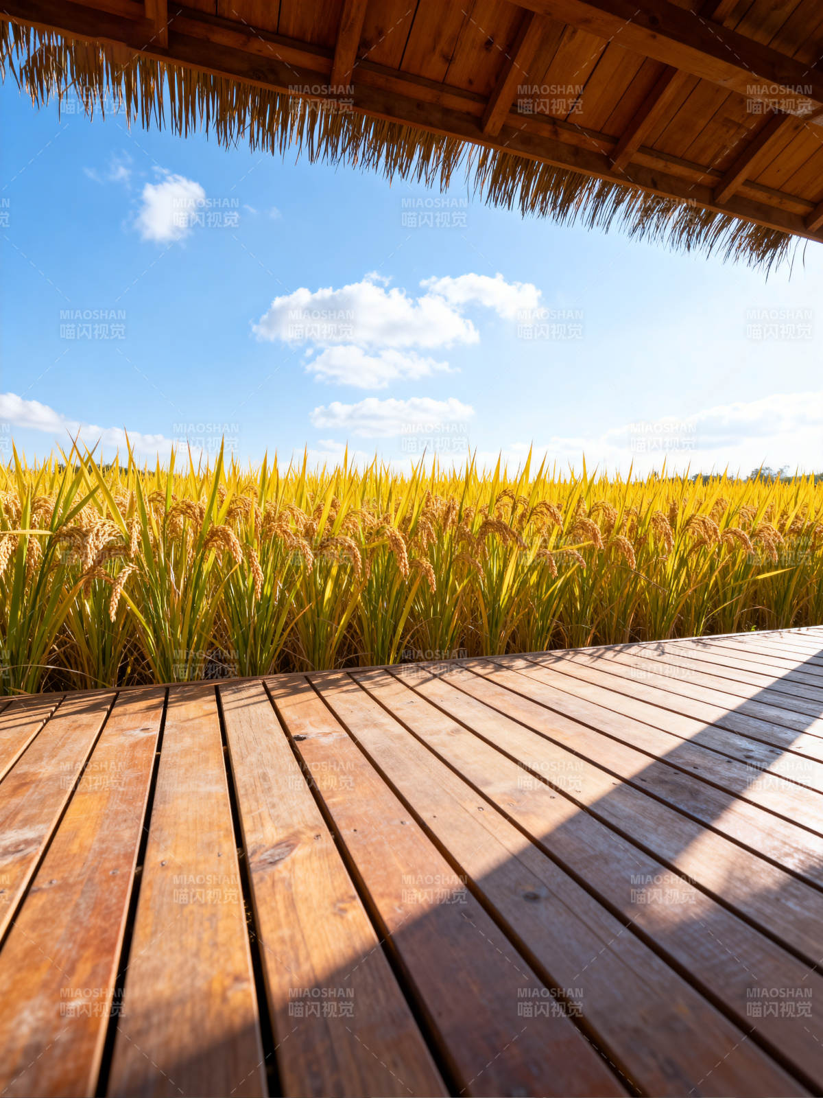 稻田木亭 晴空万里图片