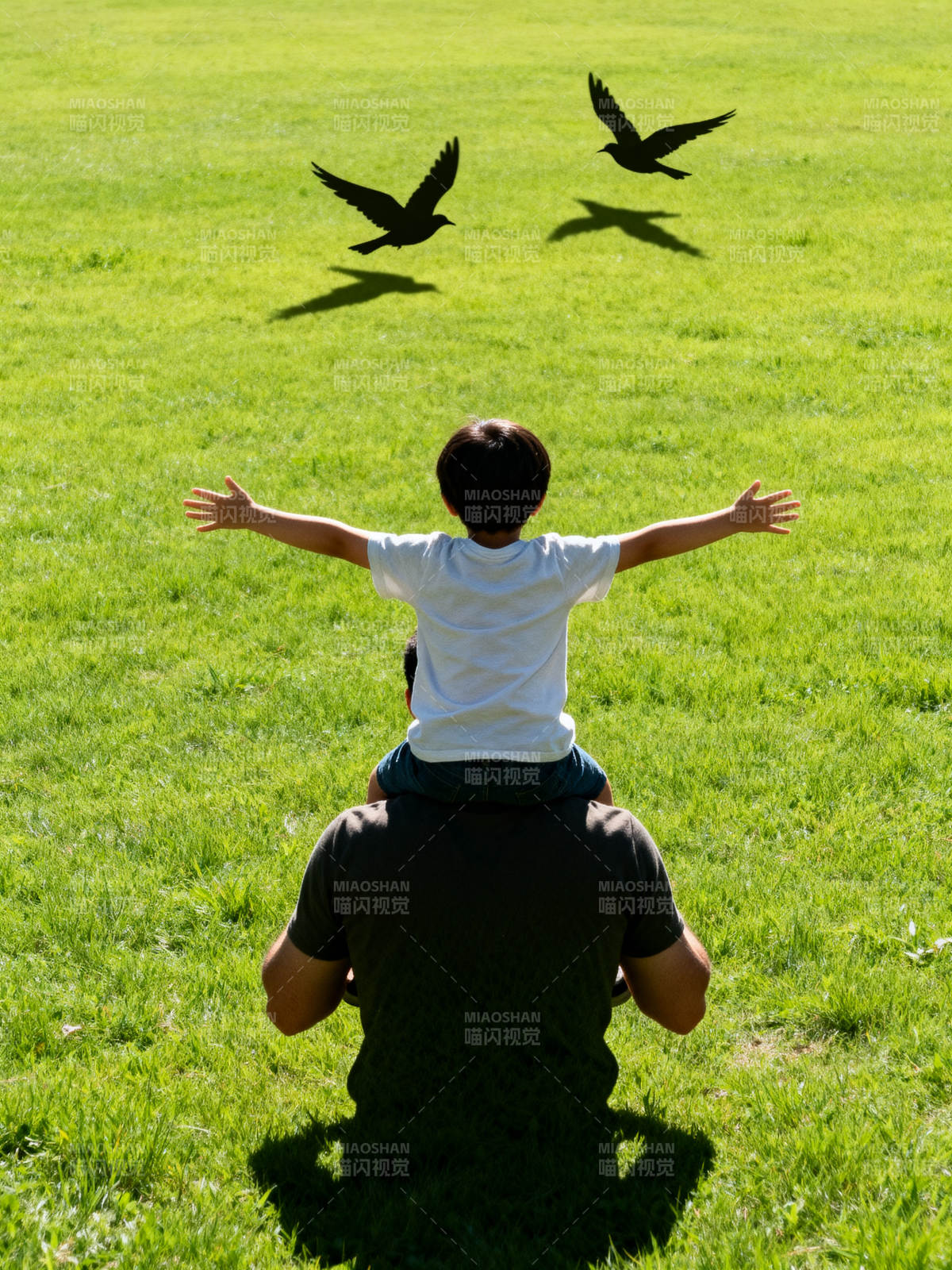父子共赏飞鸟图片