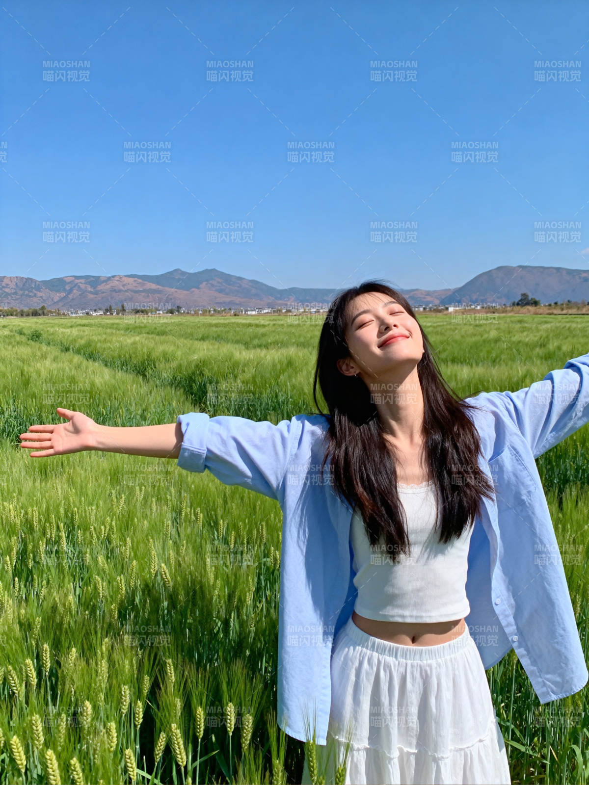 田野中的自由时光图片