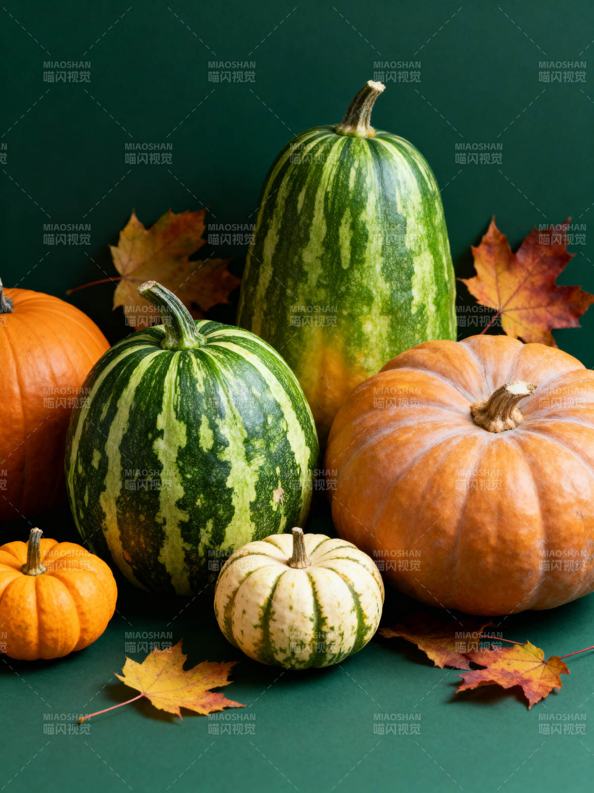 秋日南瓜静物图片
