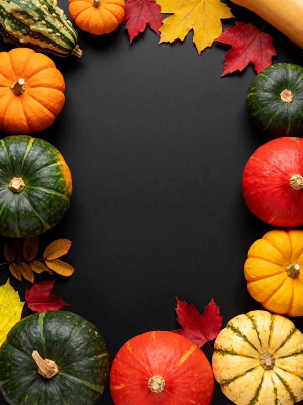 秋日南瓜叶饰图片