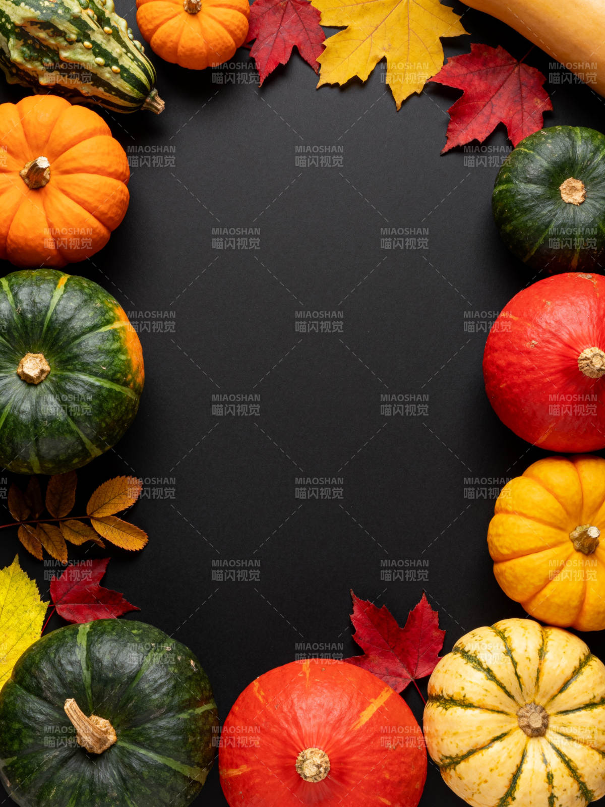 秋日南瓜叶饰图片