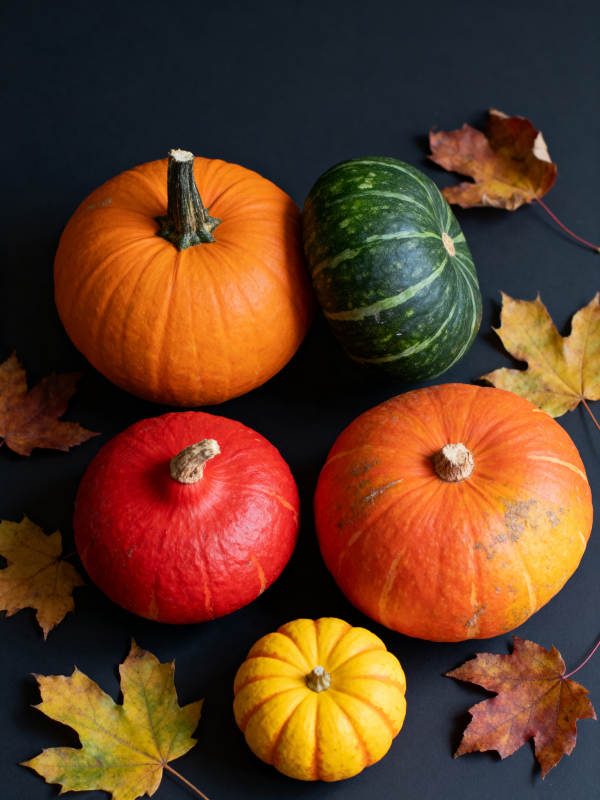 秋日南瓜与落叶图片