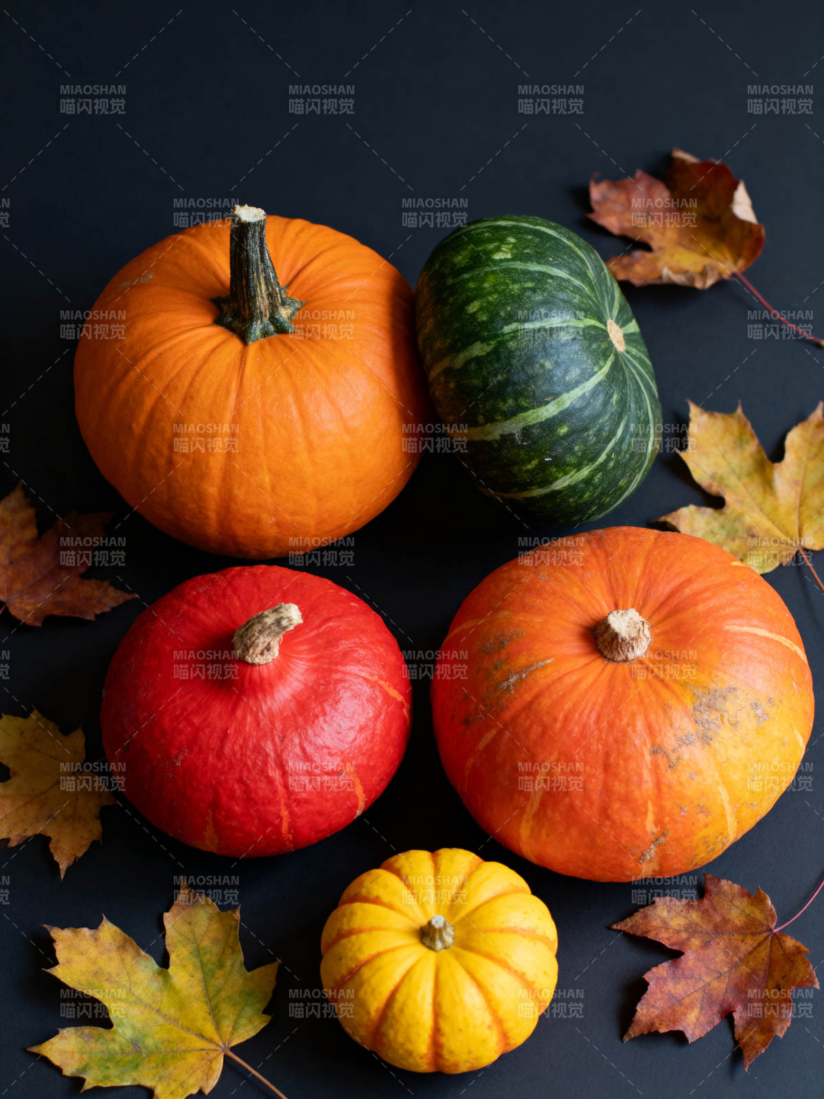 秋日南瓜与落叶图片