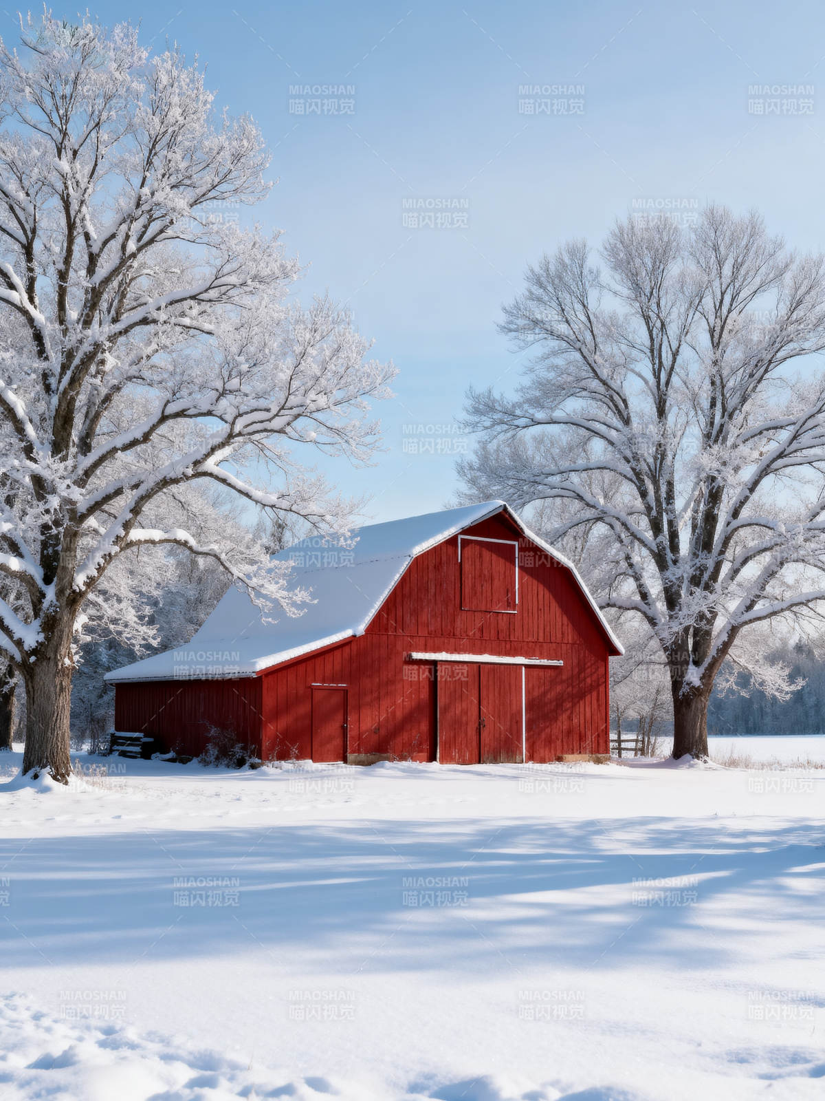 雪中红 barn图片