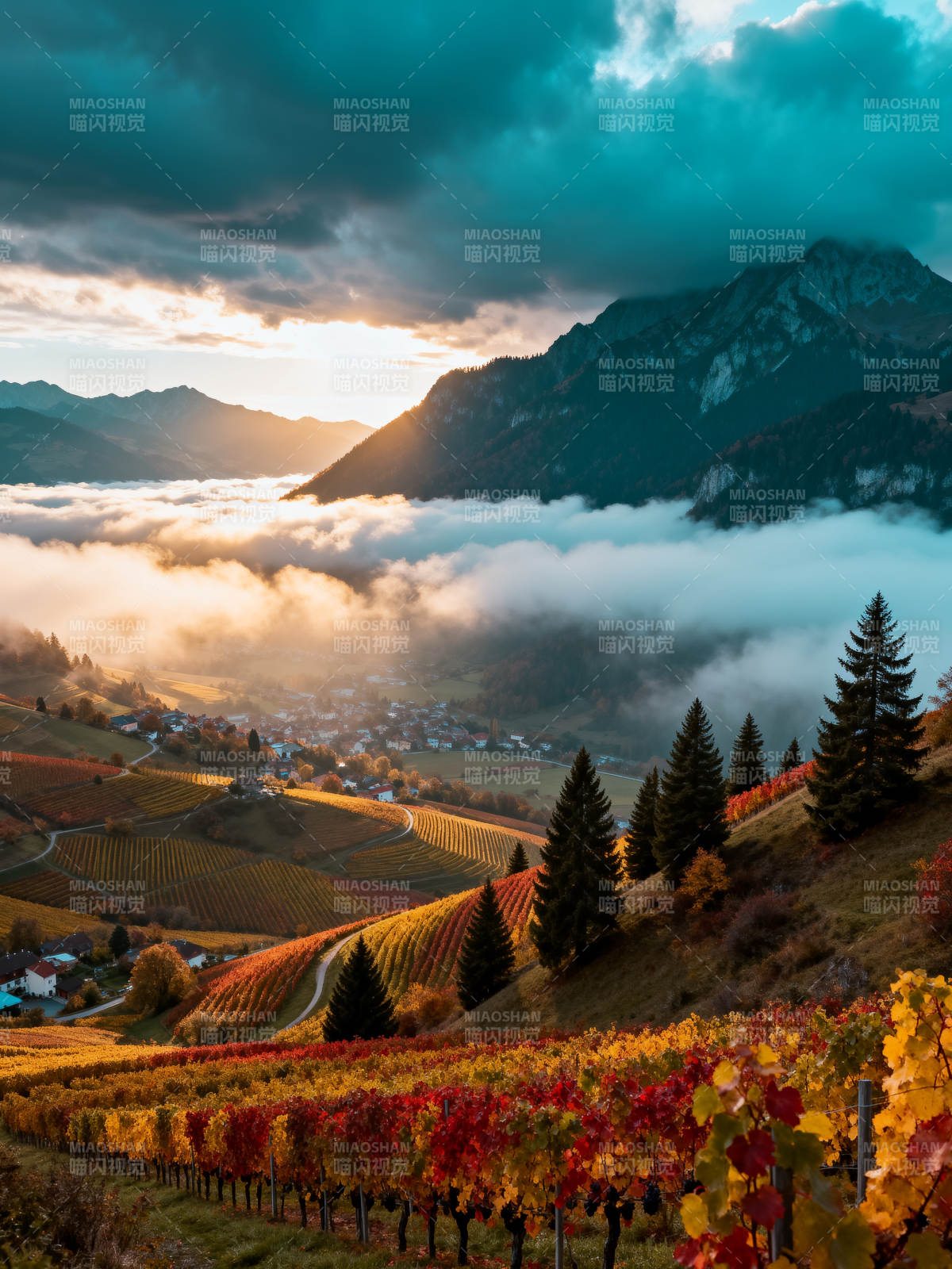 秋山云海醉美乡图片