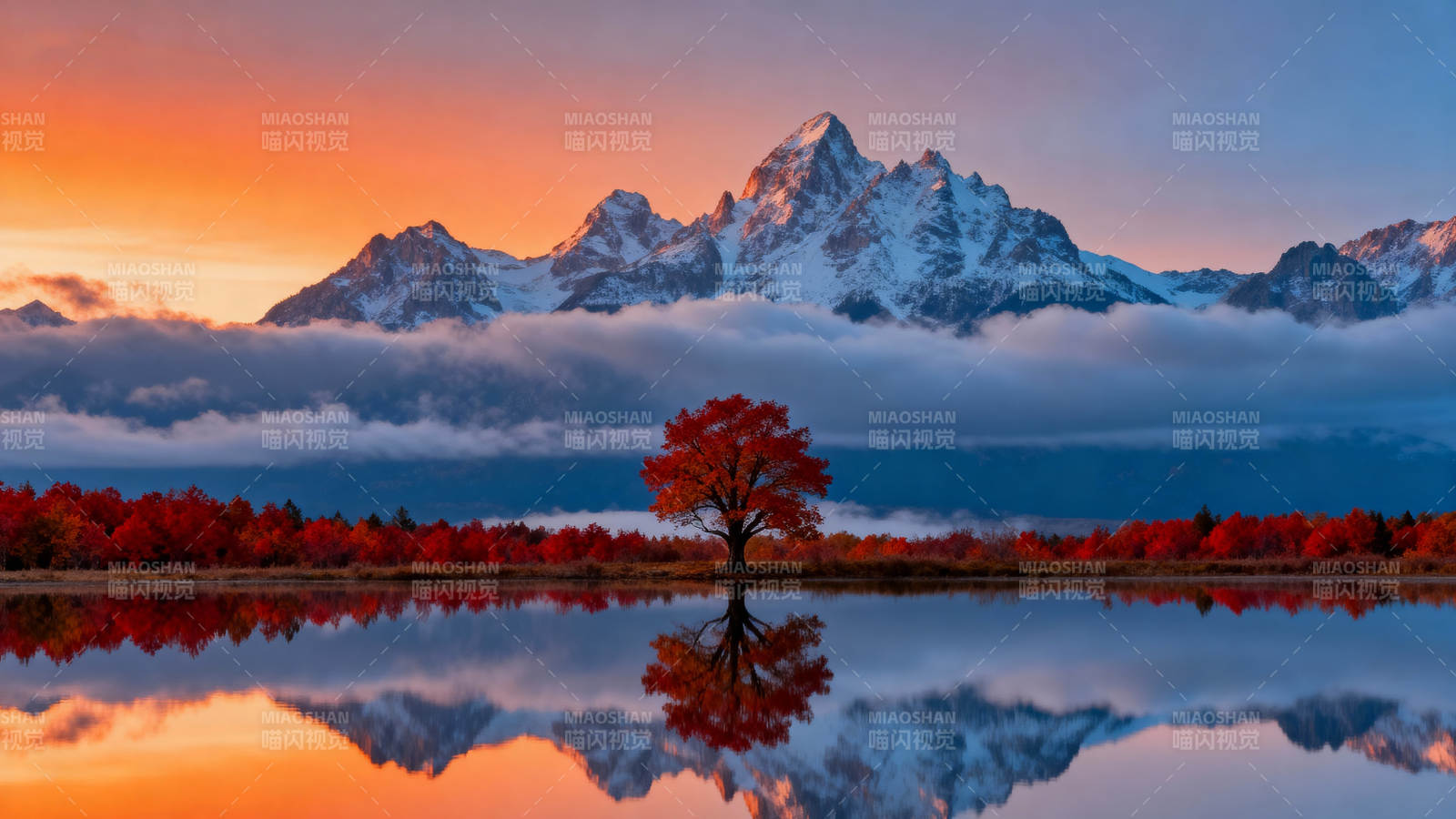 秋山映水 孤树红叶图片