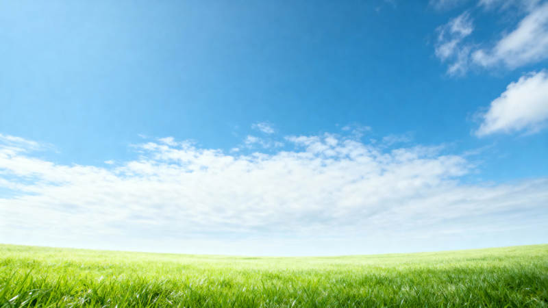 碧空绿野图片