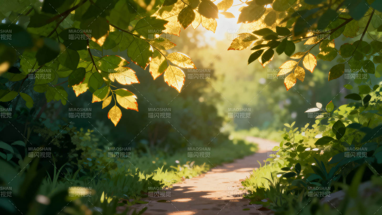 林间小径晨光图片