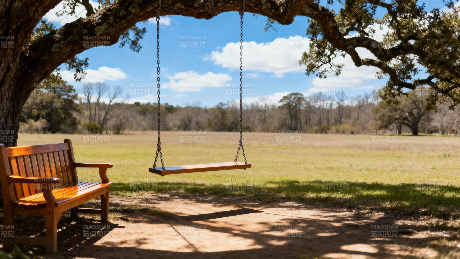 树下秋千静谧景图片