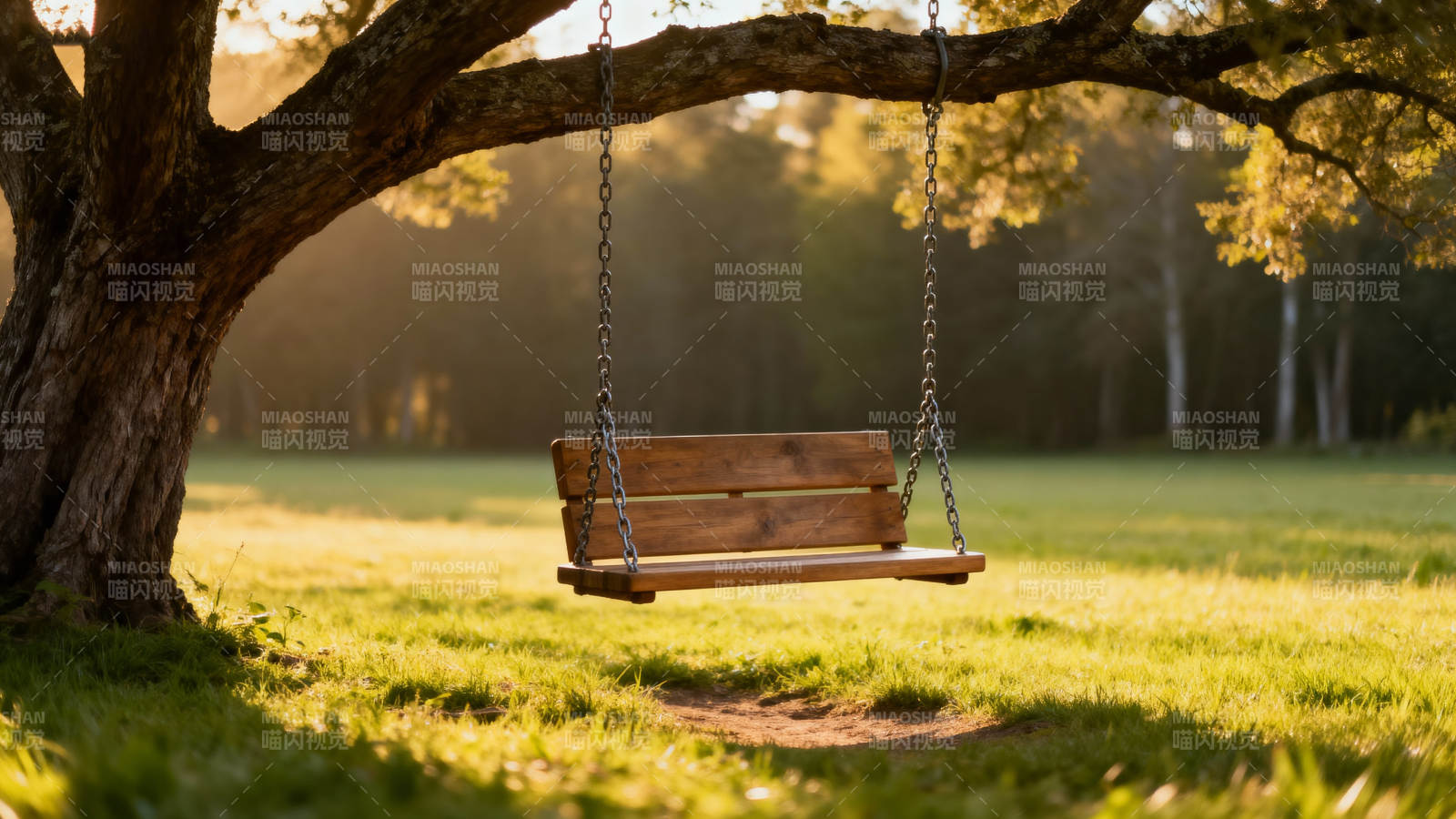 树下秋千静谧时光图片