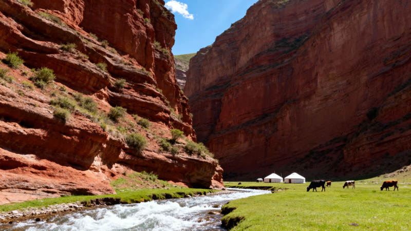 峡谷溪流牧牛图图片