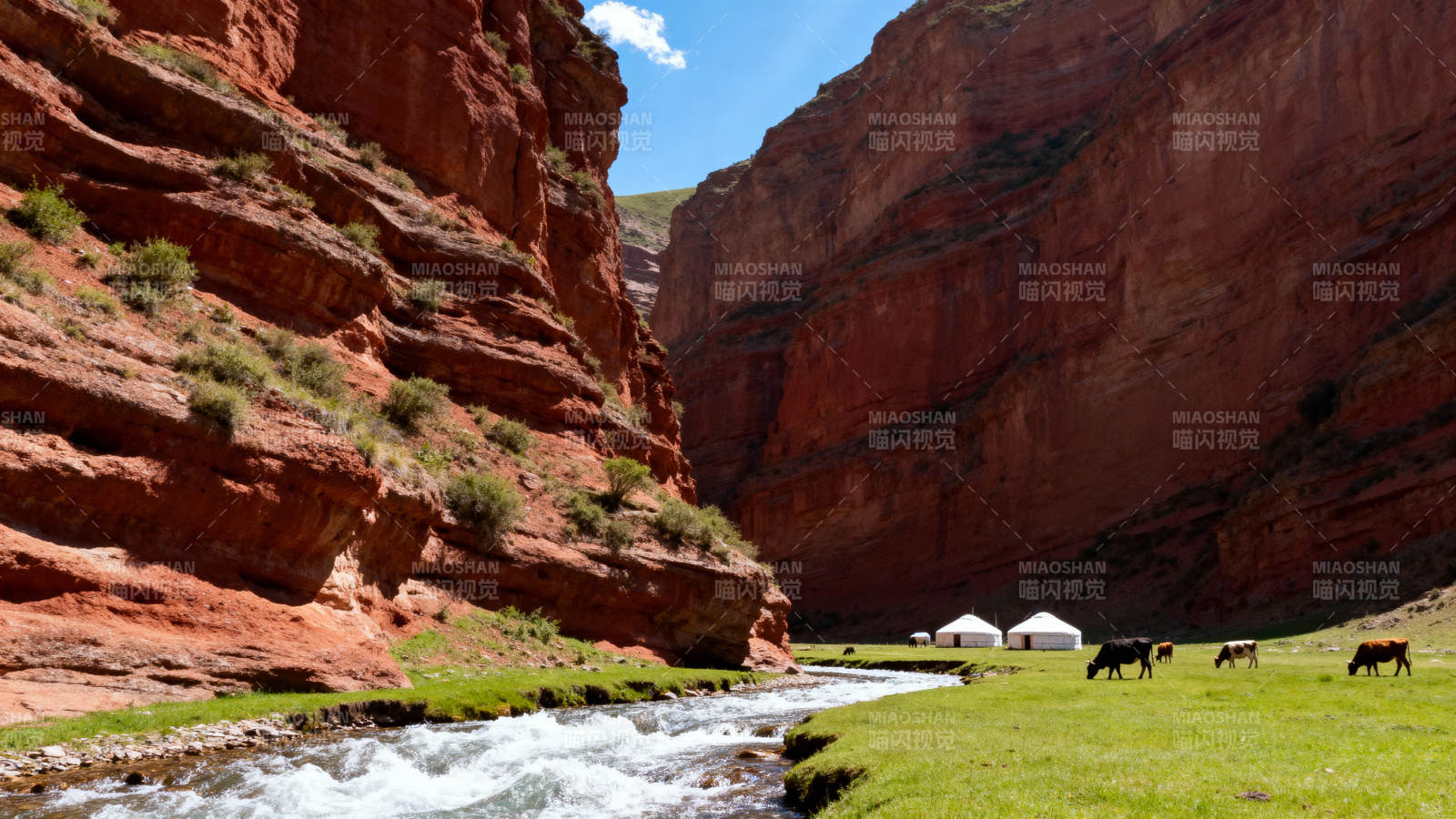 峡谷溪流牧牛图图片