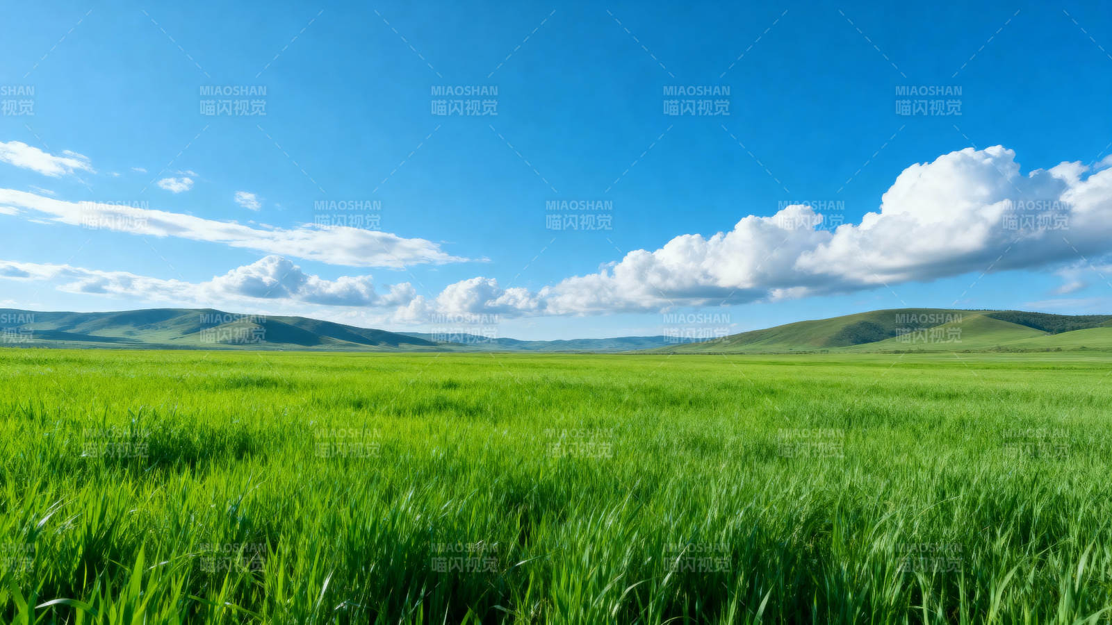 绿野蓝天图片