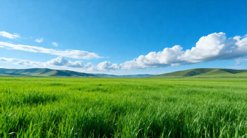 绿野蓝天图片