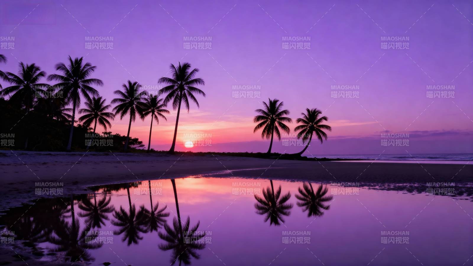 椰林夕照映水清图片