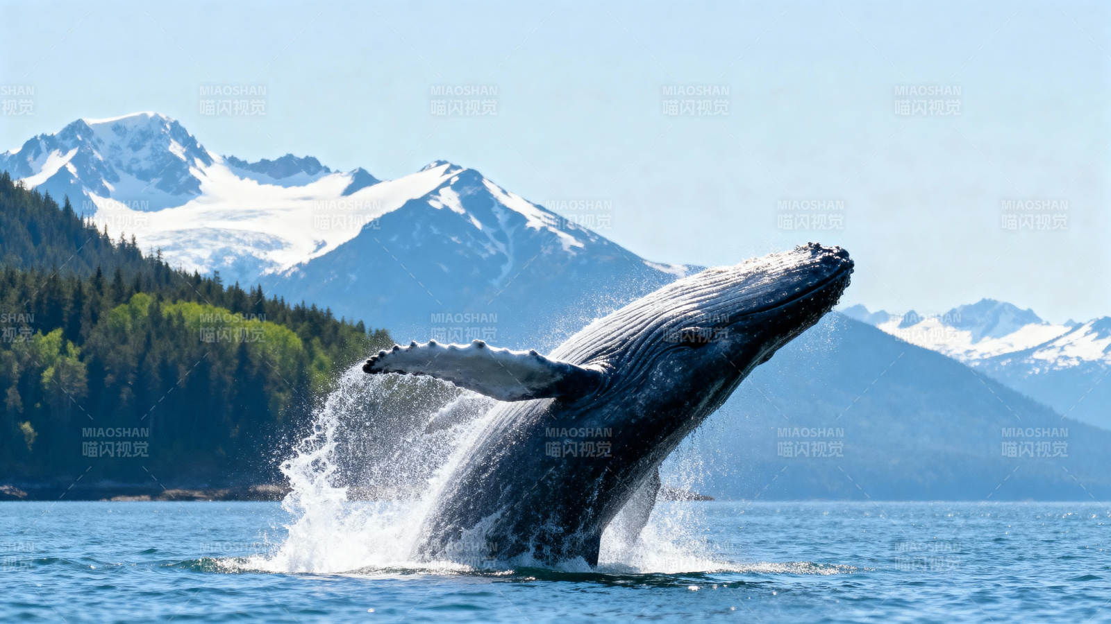 鲸跃雪山湖图片