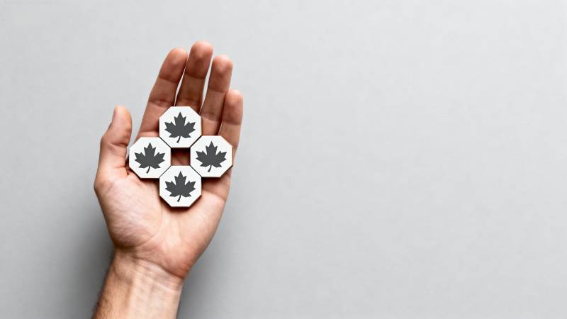 枫叶徽章在掌心图片