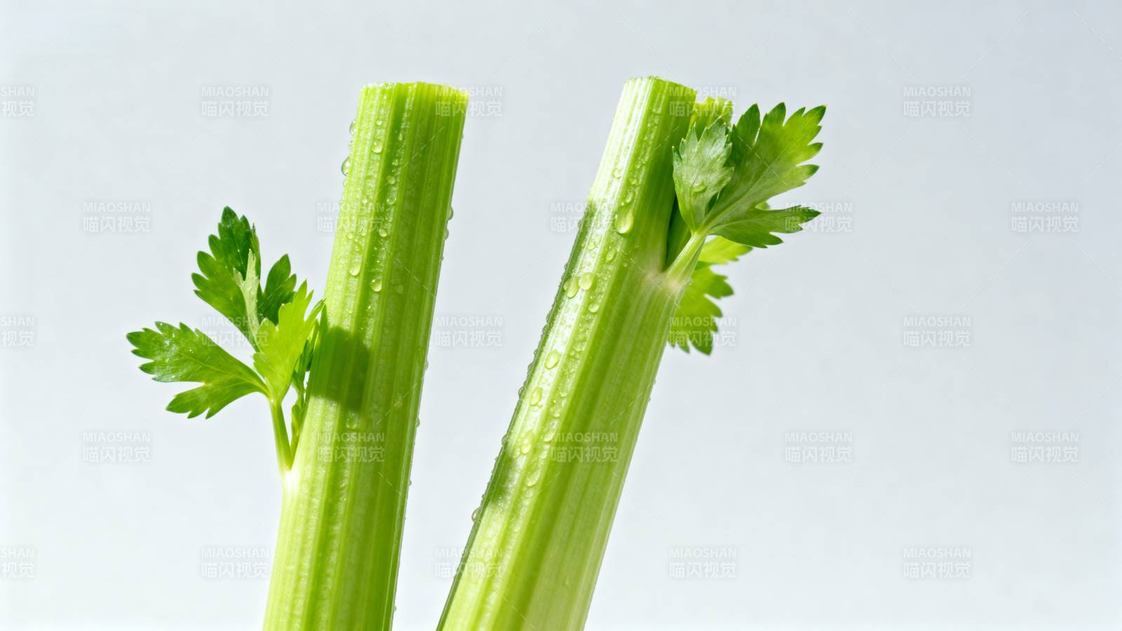 新鲜芹菜茎叶图片