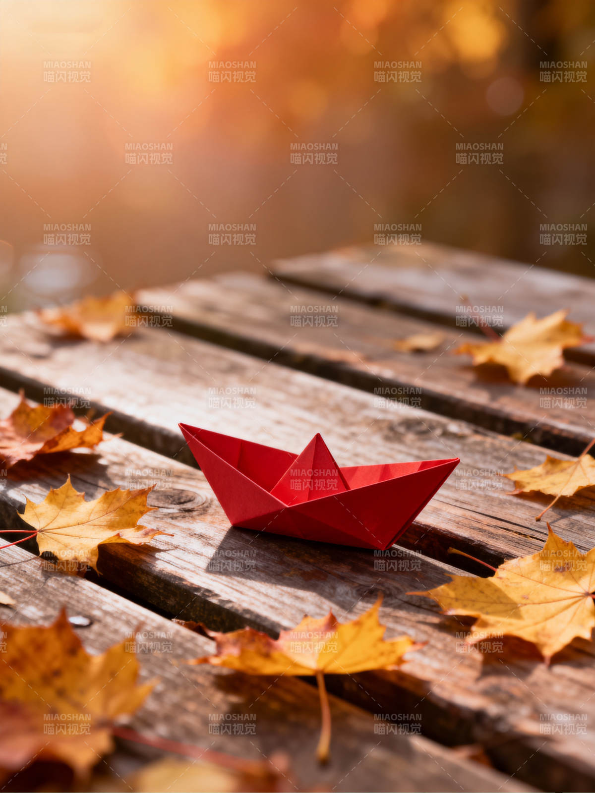 秋叶伴红舟图片