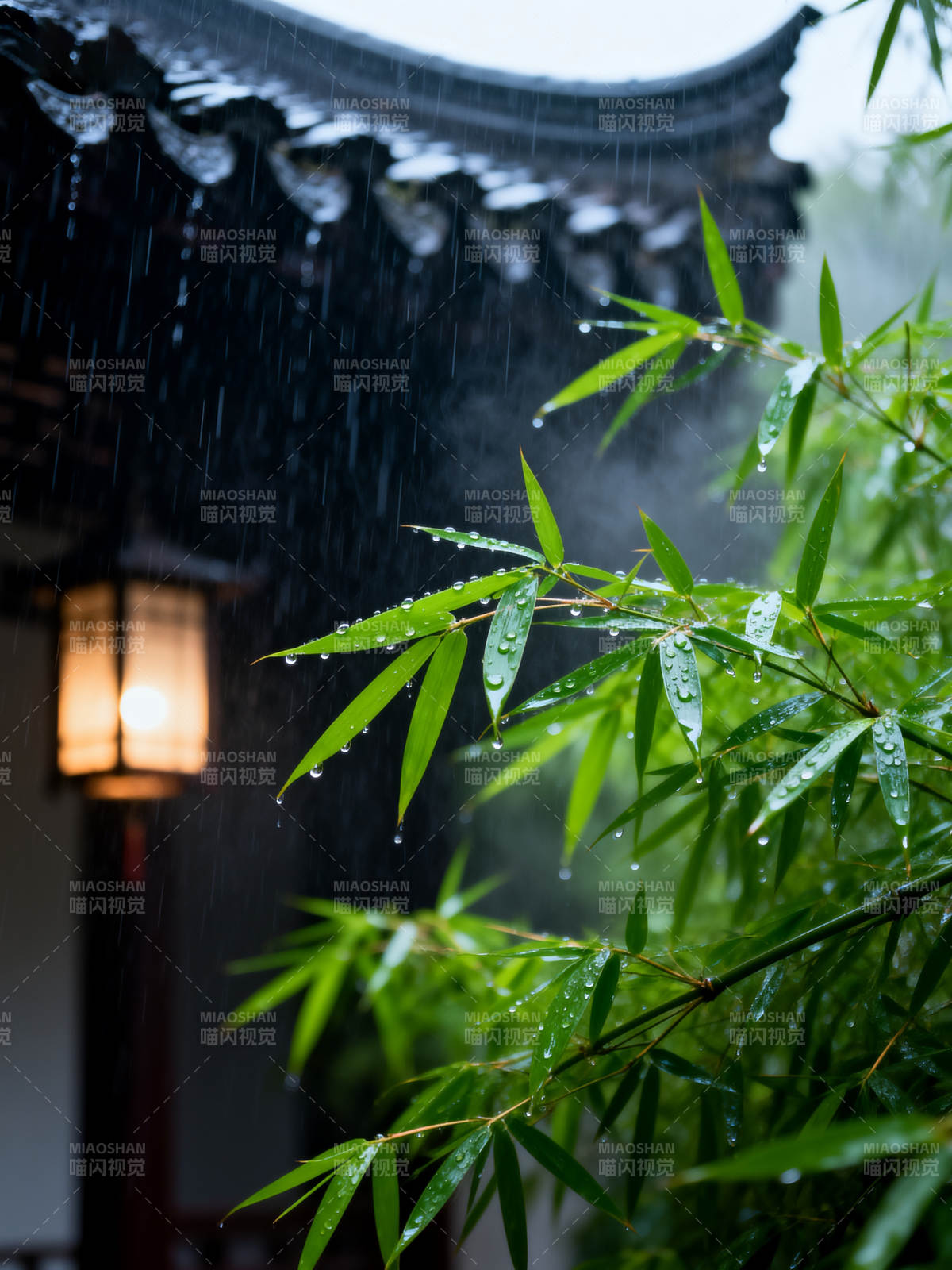 雨中竹影灯影图片