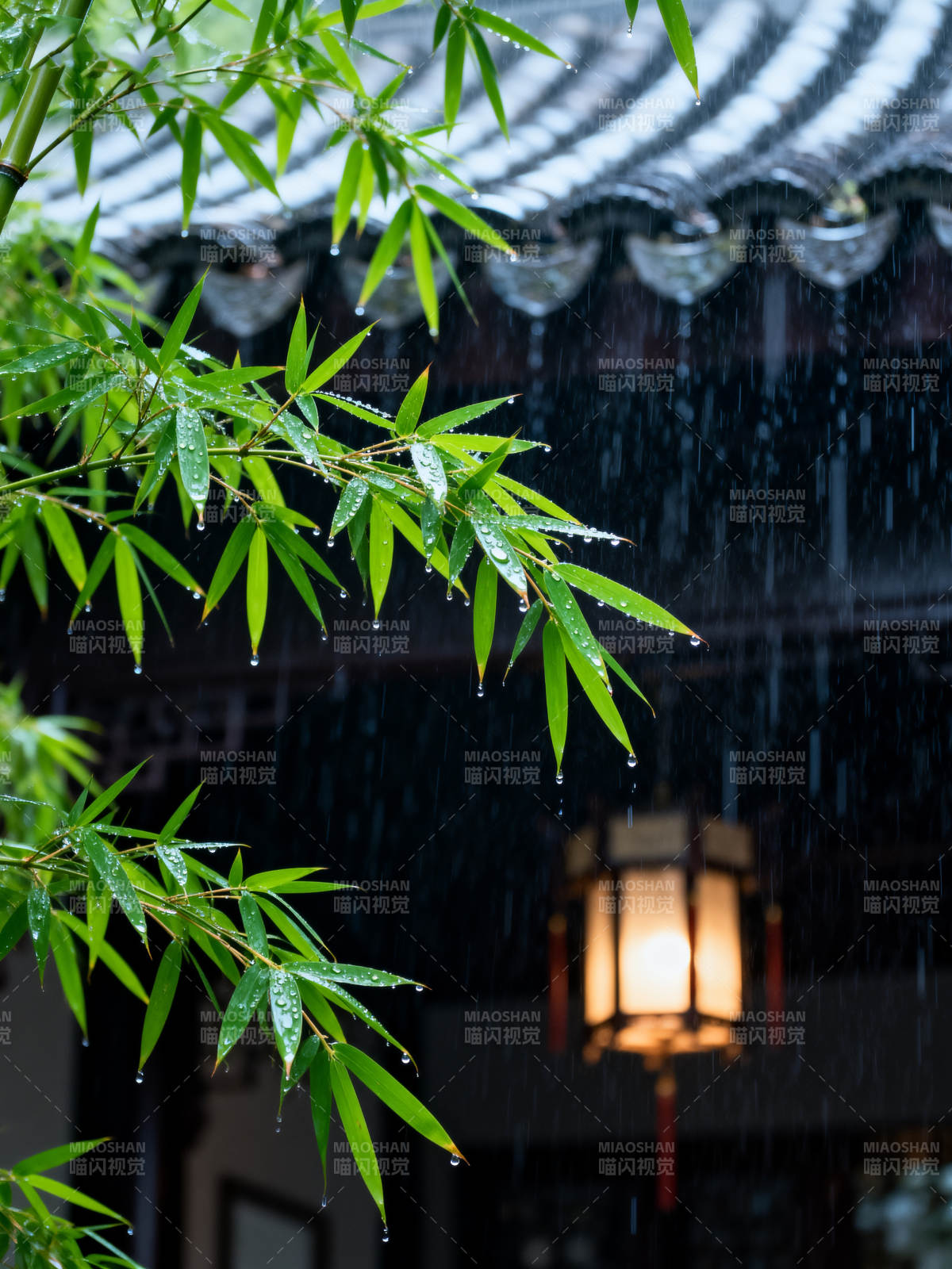 雨中竹影灯暖图片
