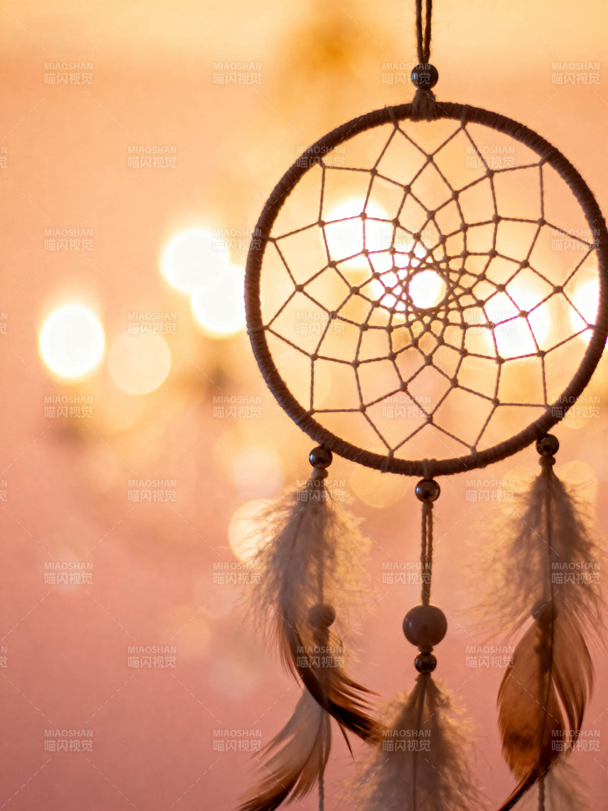 梦幻捕梦网图片