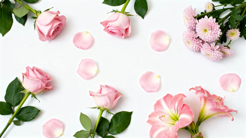 粉色花束静物图图片