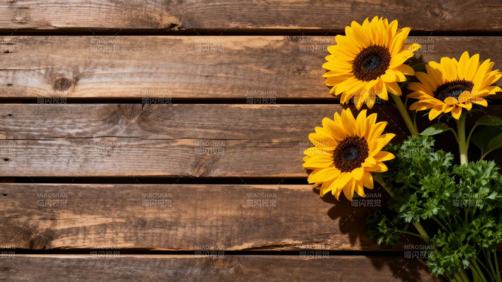 向日葵与木板背景图片