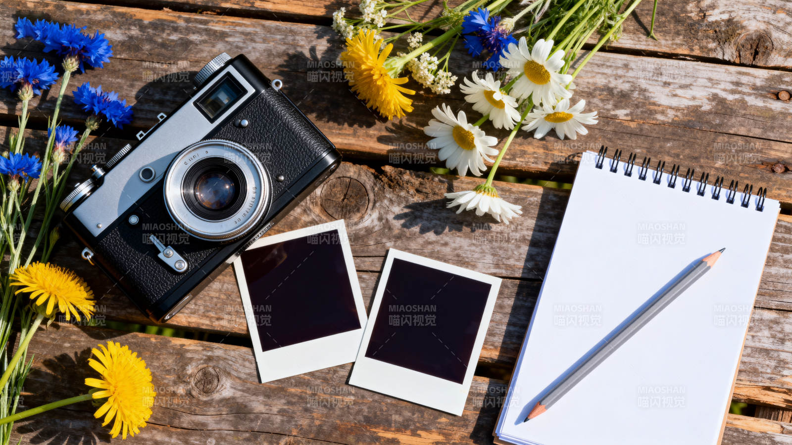 相机与花的静物图片